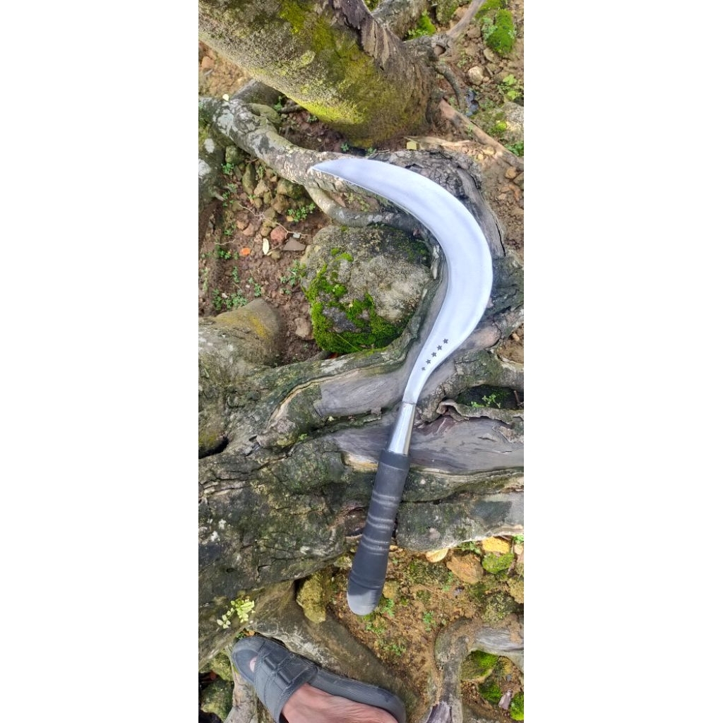 arit/sabit rumput asli baja, khas madura