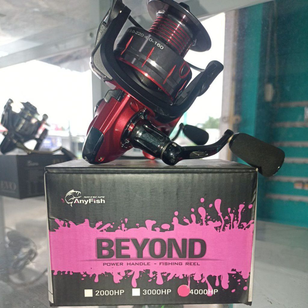 reel anyfish beyond 4000