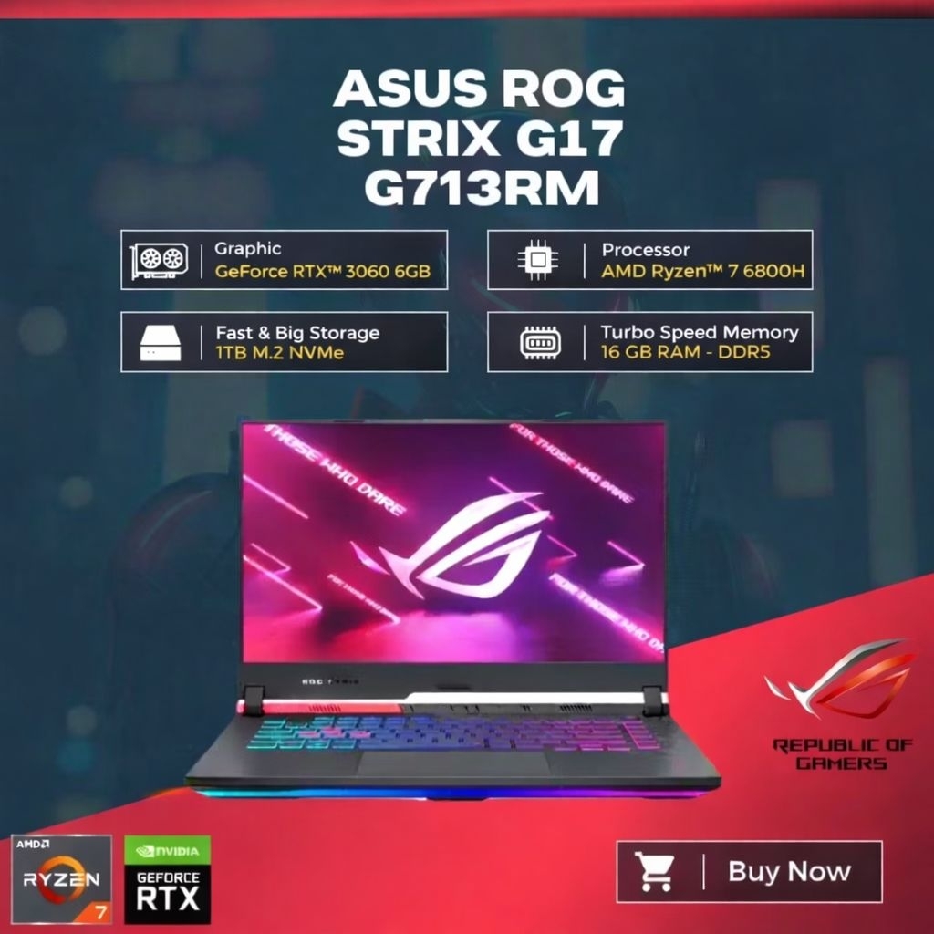 ASUS ROG Strix G17 G713RM Ryzen7 6800H RTX3060