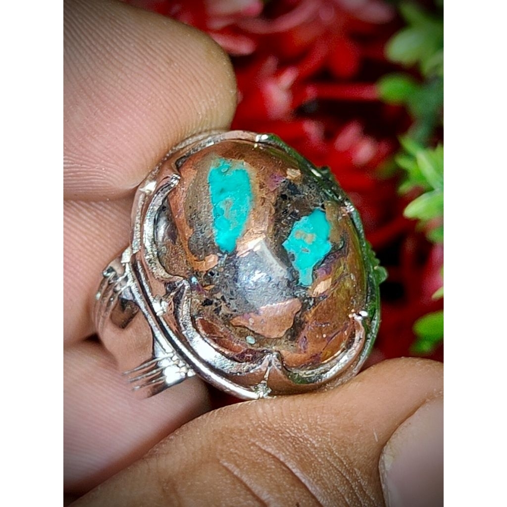 Akik Damar wulan full badar emas pancawarna