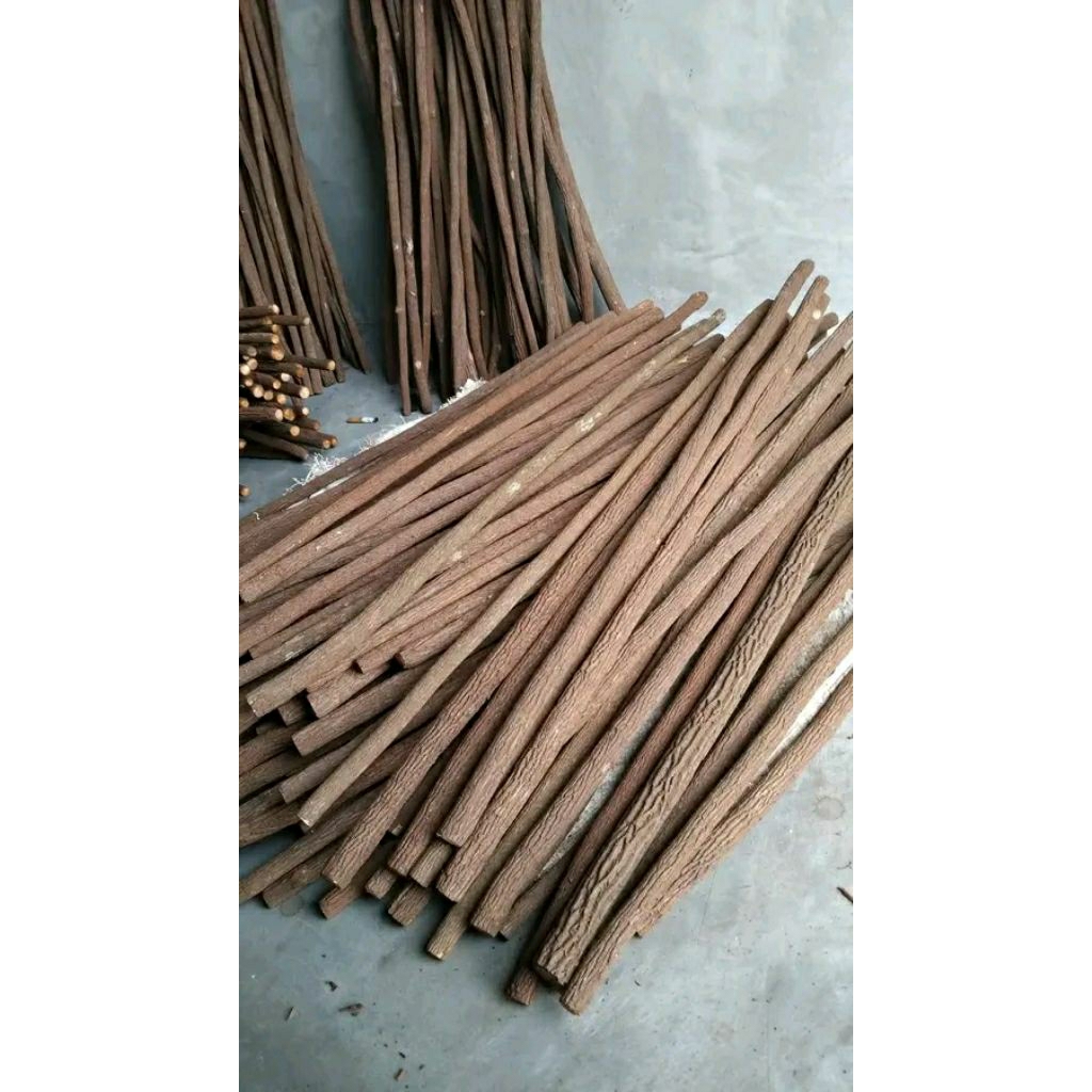 Tangkringan Asem Jawa/Tetehan