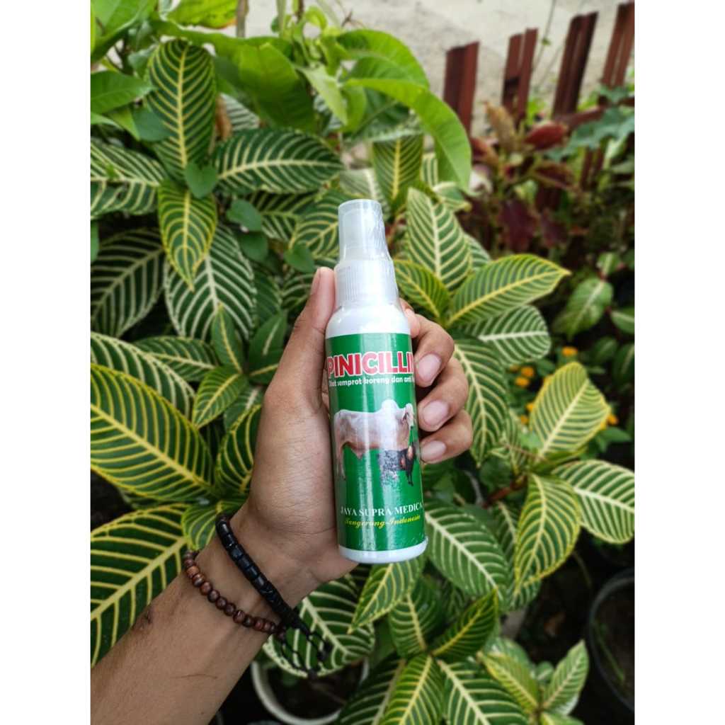 PINICILLIN SPRAY Obat Hewan Ternak Antibiotik Scabies Gatal Koreng Sapi Kambing