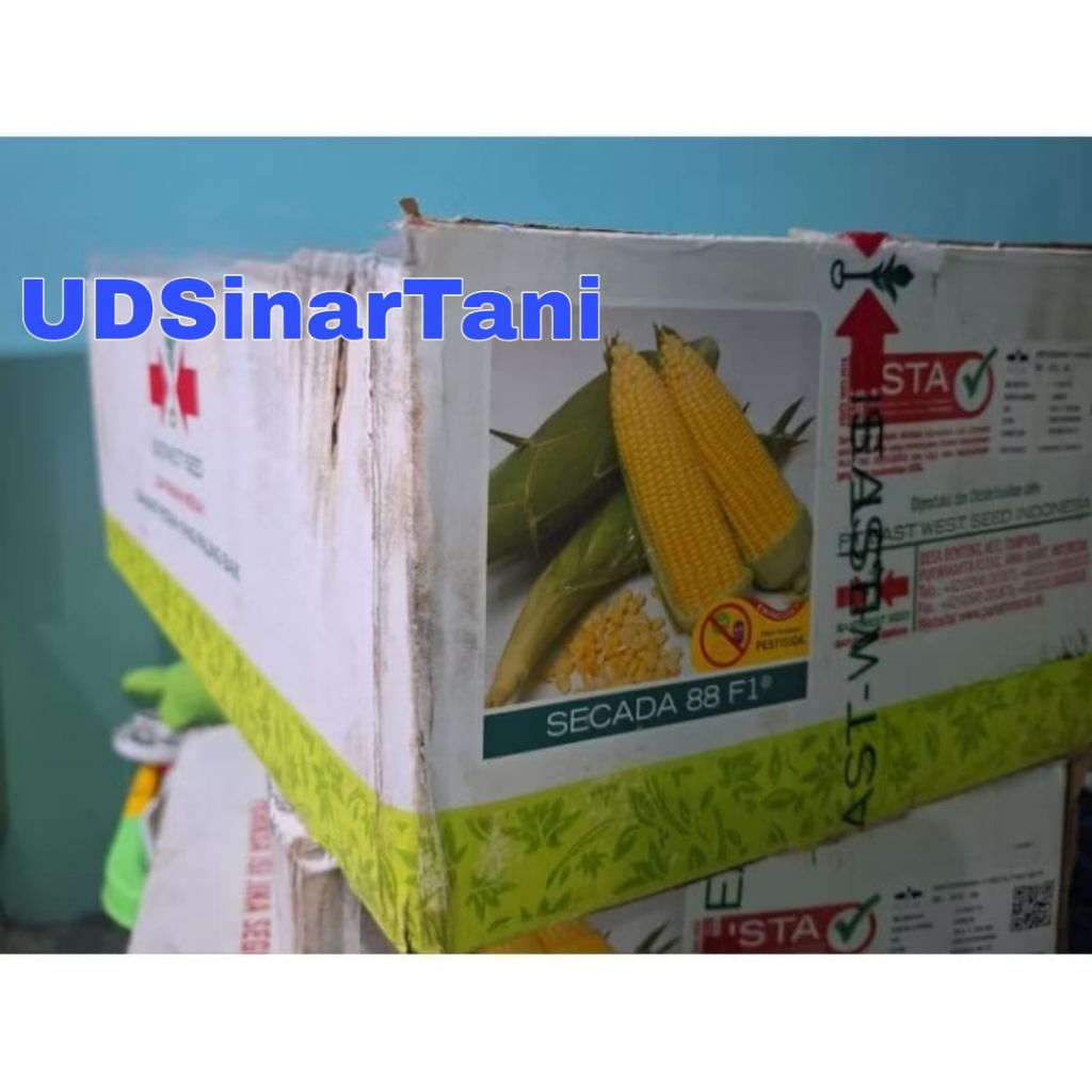 1 Dus/ 20 Bungkus Benih / Bibit Jagung Manis Secada 88 F1 isi 1.750 Butir
