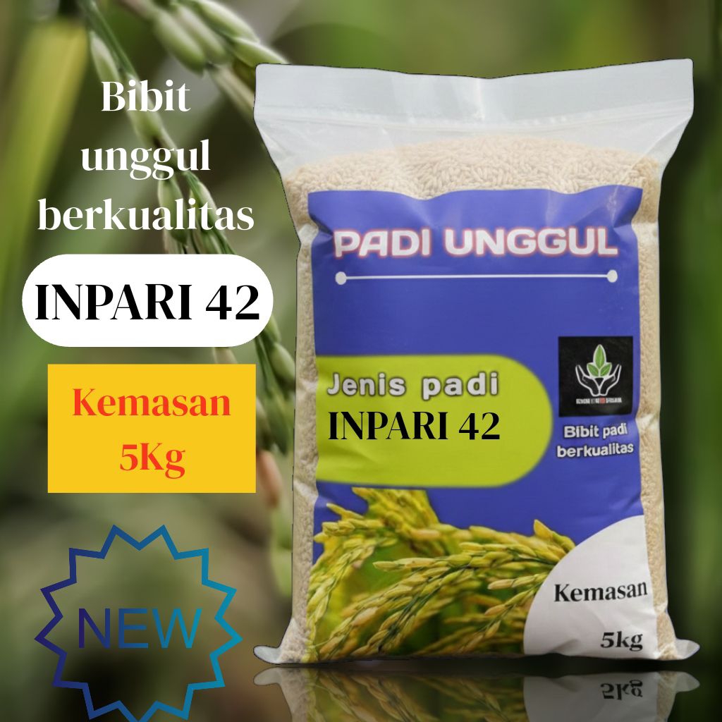 BIBIT PADI UNGGUL INPARI 42 KUALITAS PREMIUM KEMASAN 5 KG