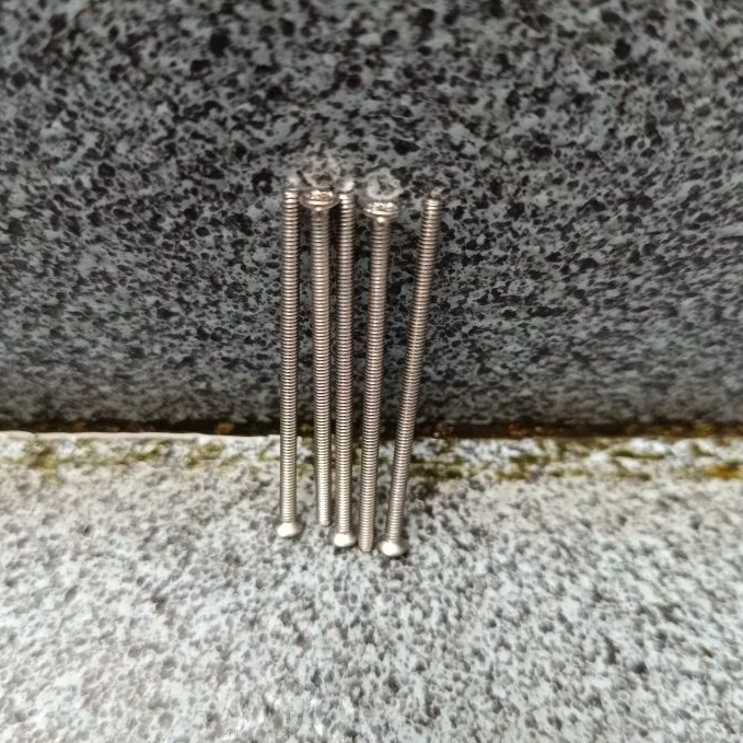 Baut M2 Kepala Pipih 40mm Stainless (Isi 5 pcs)