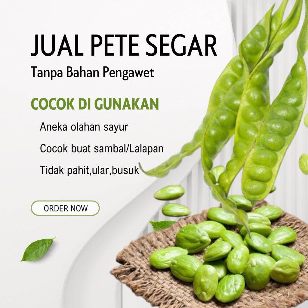 PETAI/PETE PADI ISI 1 LONJOR PAPAN TUA SUPER Segar Tanpa Bahan Pengawet Cocok untuk Olahan Sayur dan