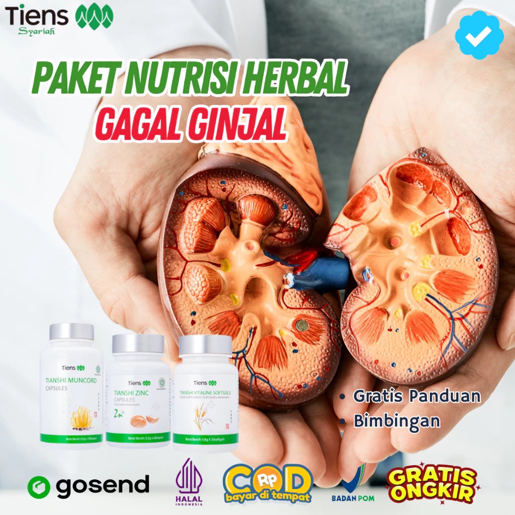 PAKET PRODUK TIENS UNTUK OBAT GAGAL GINJAL BATU GINJAL