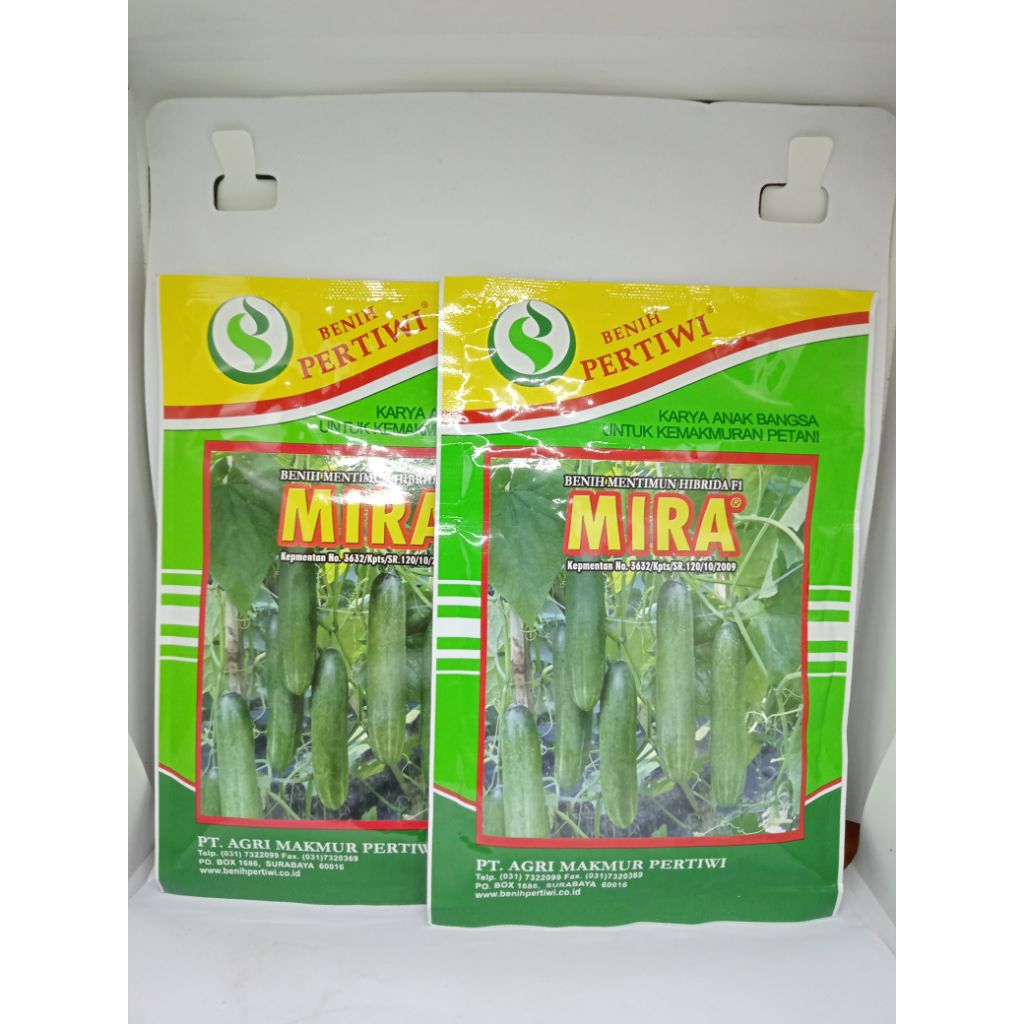bibit timun mira pertiwi