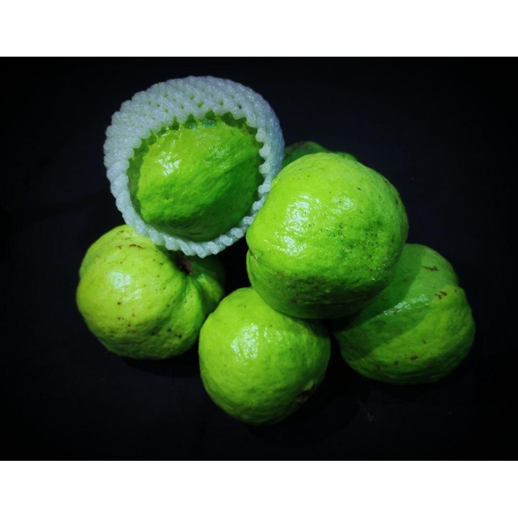 Jambu Kristal Purworejo | Buah Segar Renyah Manis Tanpa Biji