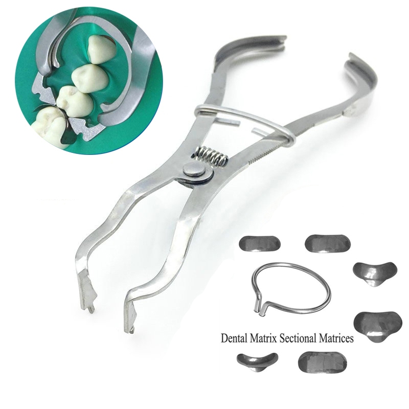 Dental matrik sectional contoured matrix metal ginjal band wedges / Tang matrix gigi /Tang matriks g
