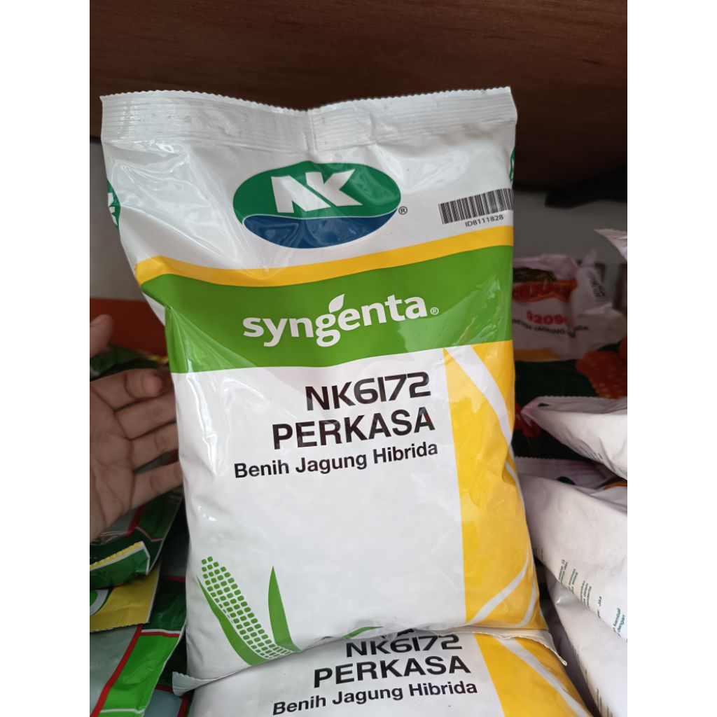 BENIH JAGUNG PERKASA SYNGENTA - 1KG
