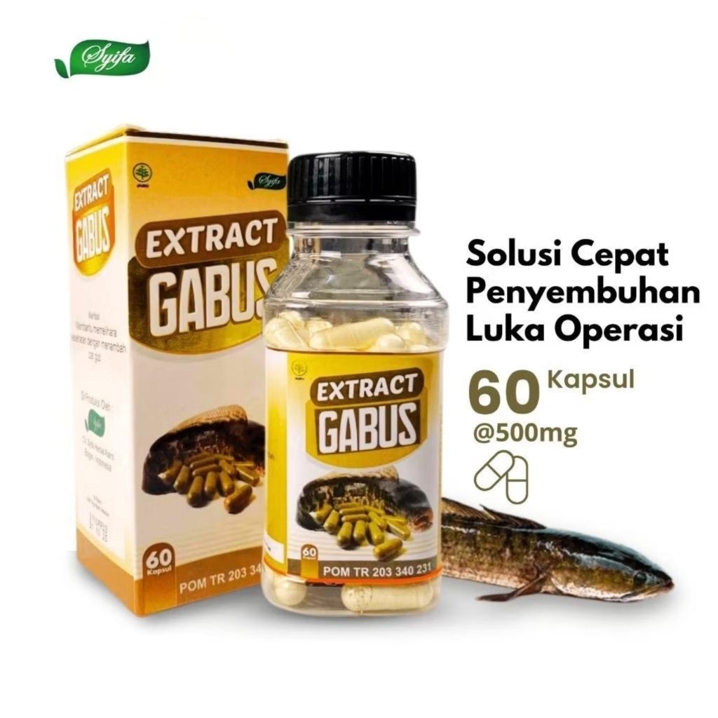 Kapsul Ekstrak Ikan Gabus Syifa 60 Kapsul