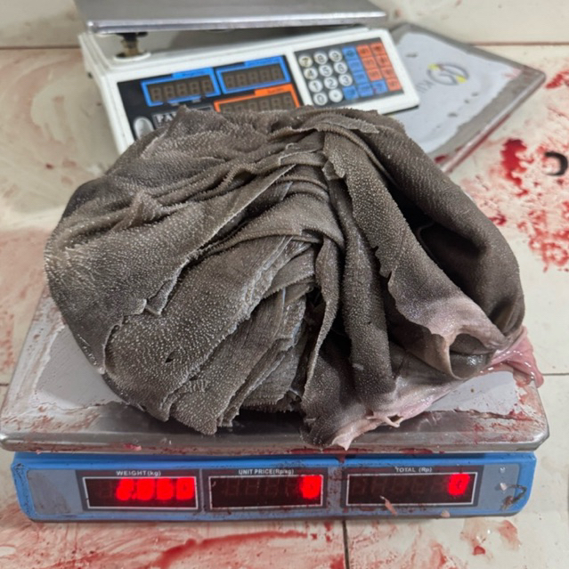 Babat jarit sapi Babat kitab 1kg sapi segar