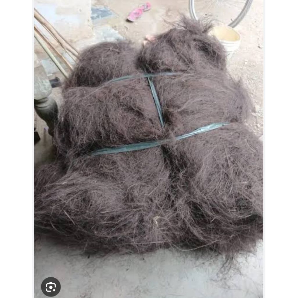 ijuk pohon aren /1kilo gram