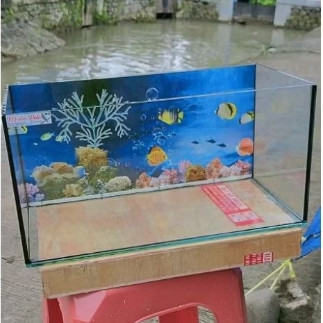 Mediahobi Aquarium 40x20x20cm Kaca Tebal