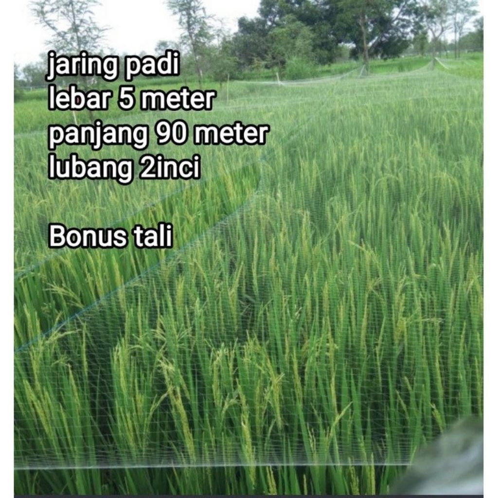 JARING SAWAH / JARING BURUNG EMPRIT / JARING IKAN SENAR 0,15MM PREMIUM