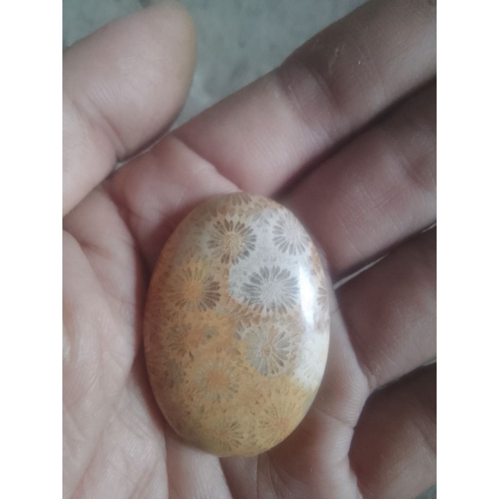 batu unik antik posil