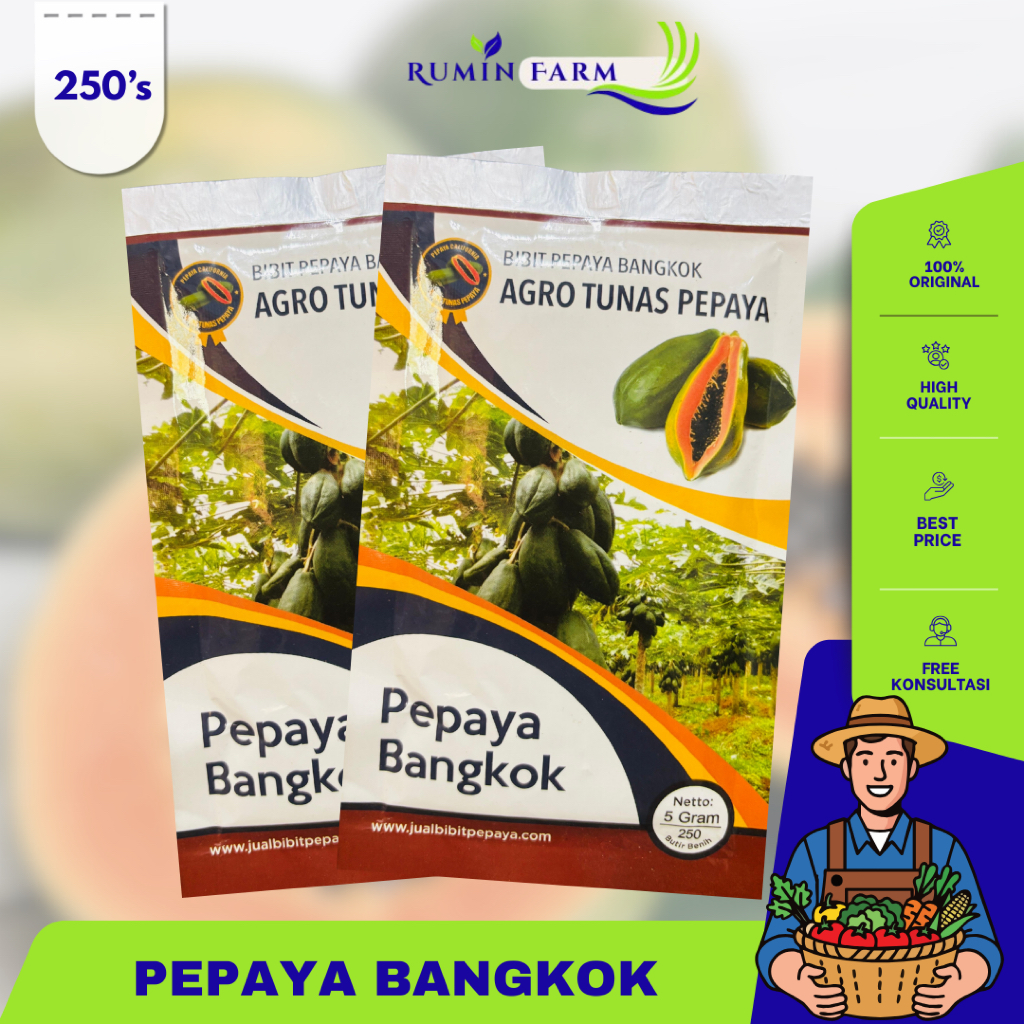 Benih Pepaya Bangkok  250 biji Cap Agro Tunas Pepaya