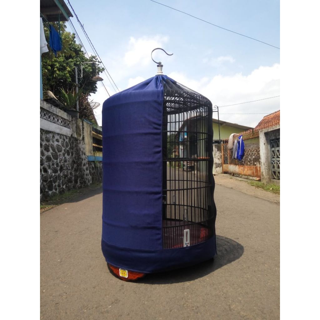 krodong transparan murai skat no 3