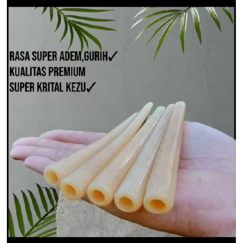 once pipa cangklong tulang impor