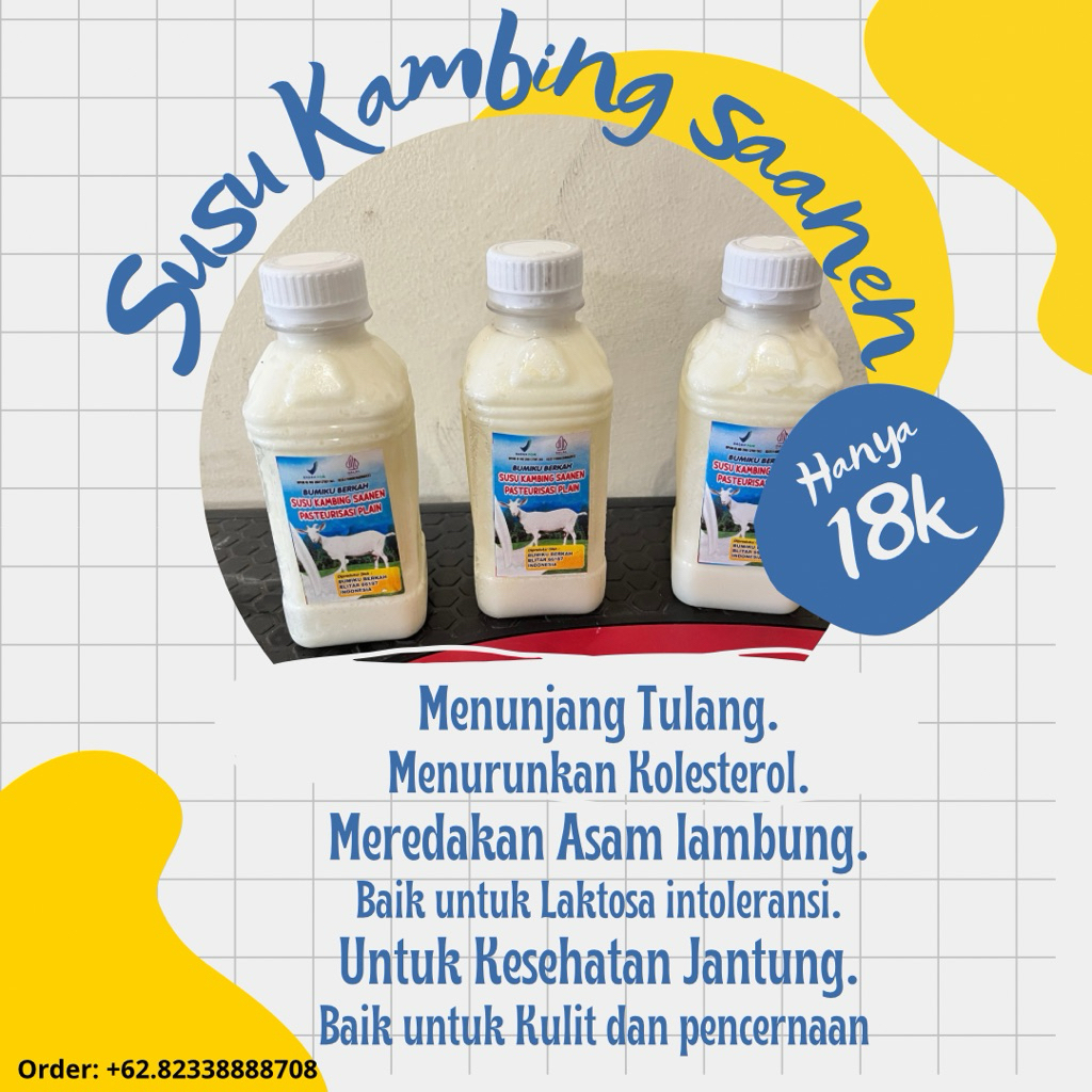 susu kambing saanen