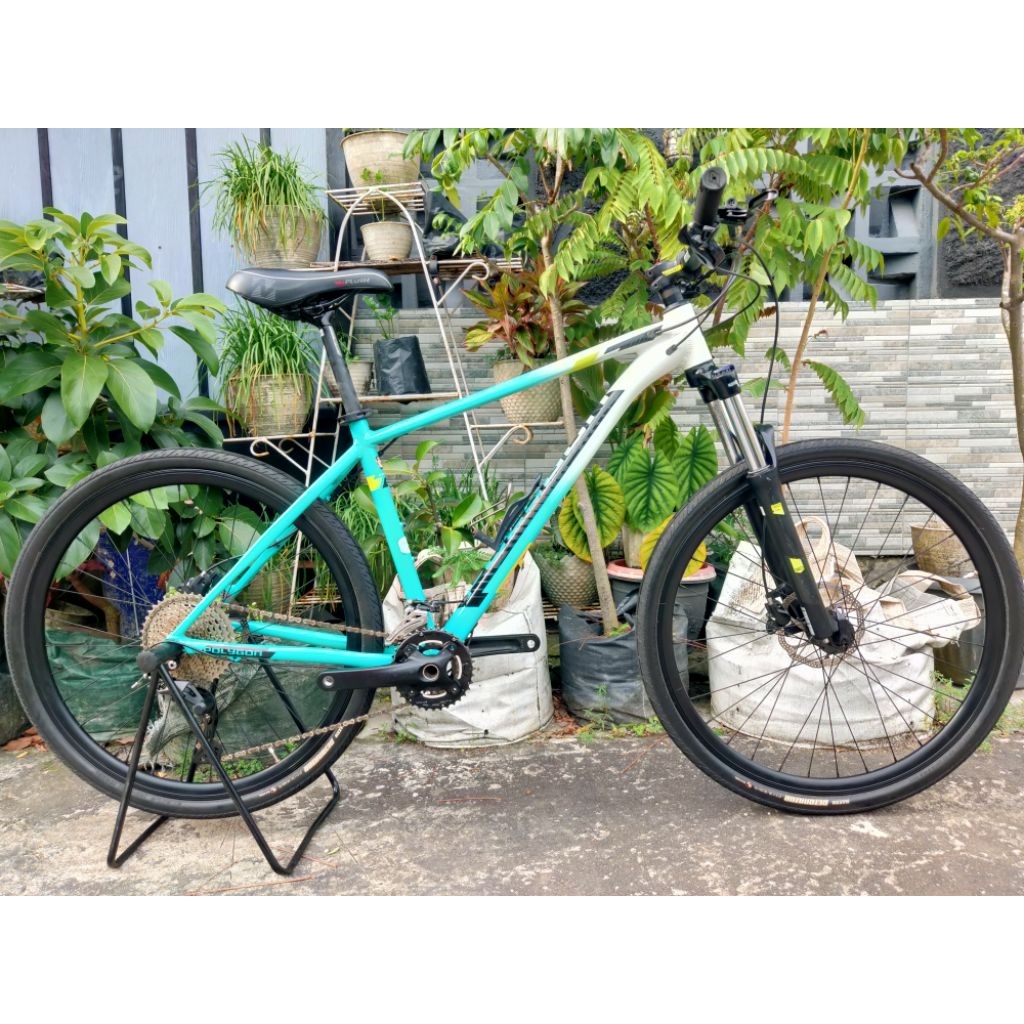 Polygon xtrada 5 Limited Edition