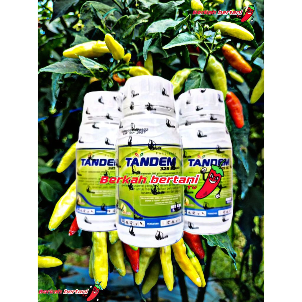 Fungisida Tandem 325 SC 100ML SISTEMIK JAMUR