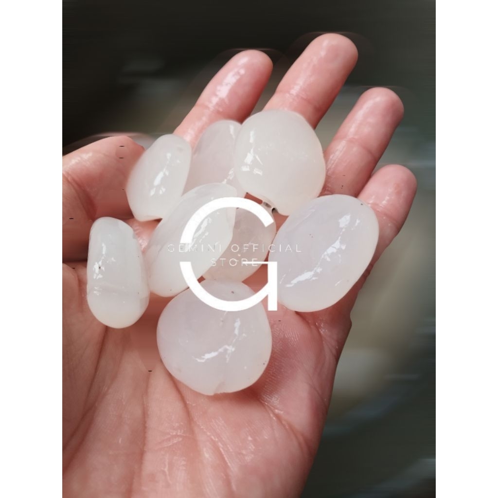 kolang kaling segar muda 500 gram {GOS} buah aren muda segar kolang kaling