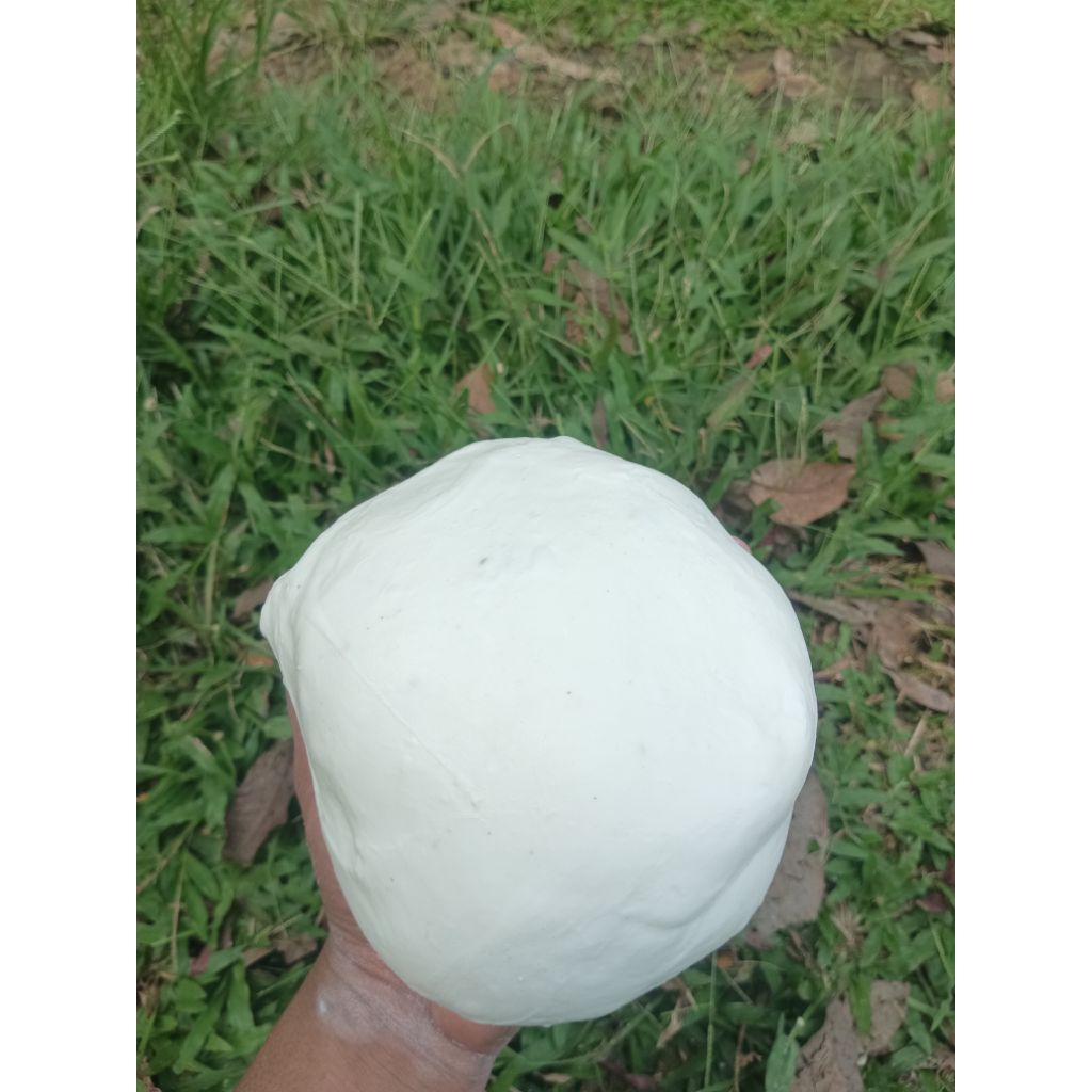 pulut burung 1ons