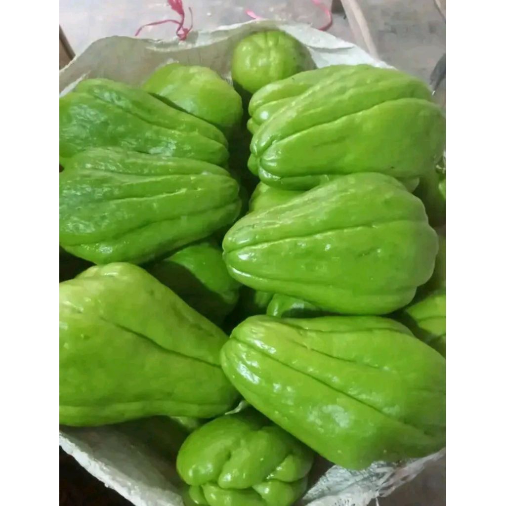 1 kg Labu Siam , labu siam pres , labu siam hiijau, hasil Bumi Nusantara
