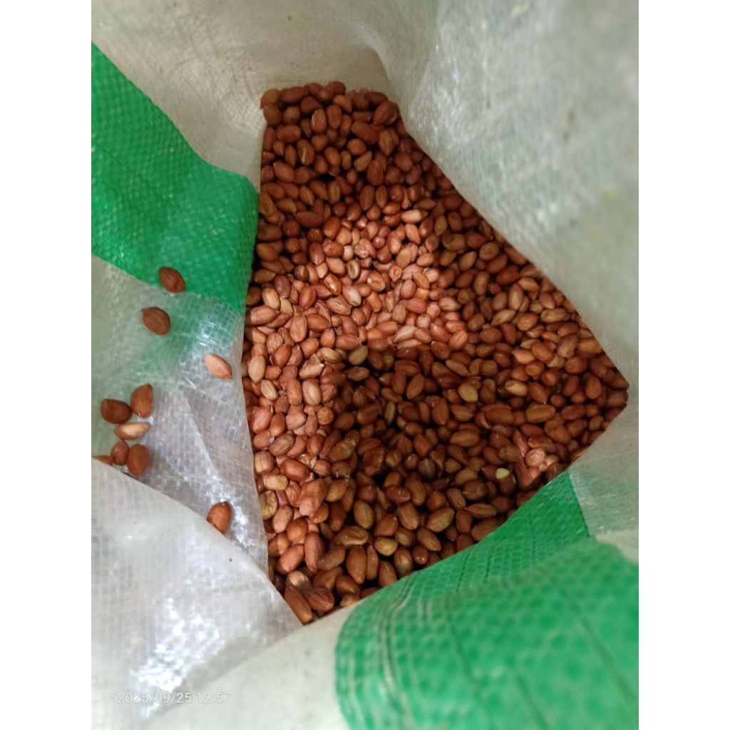 kacang tanah super 1 kg