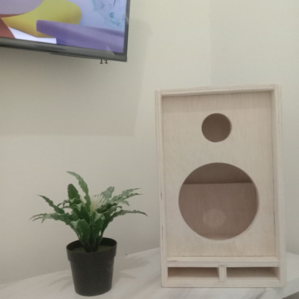 Box Speaker Single 10 inch + Lubang Tweeter 3 inch