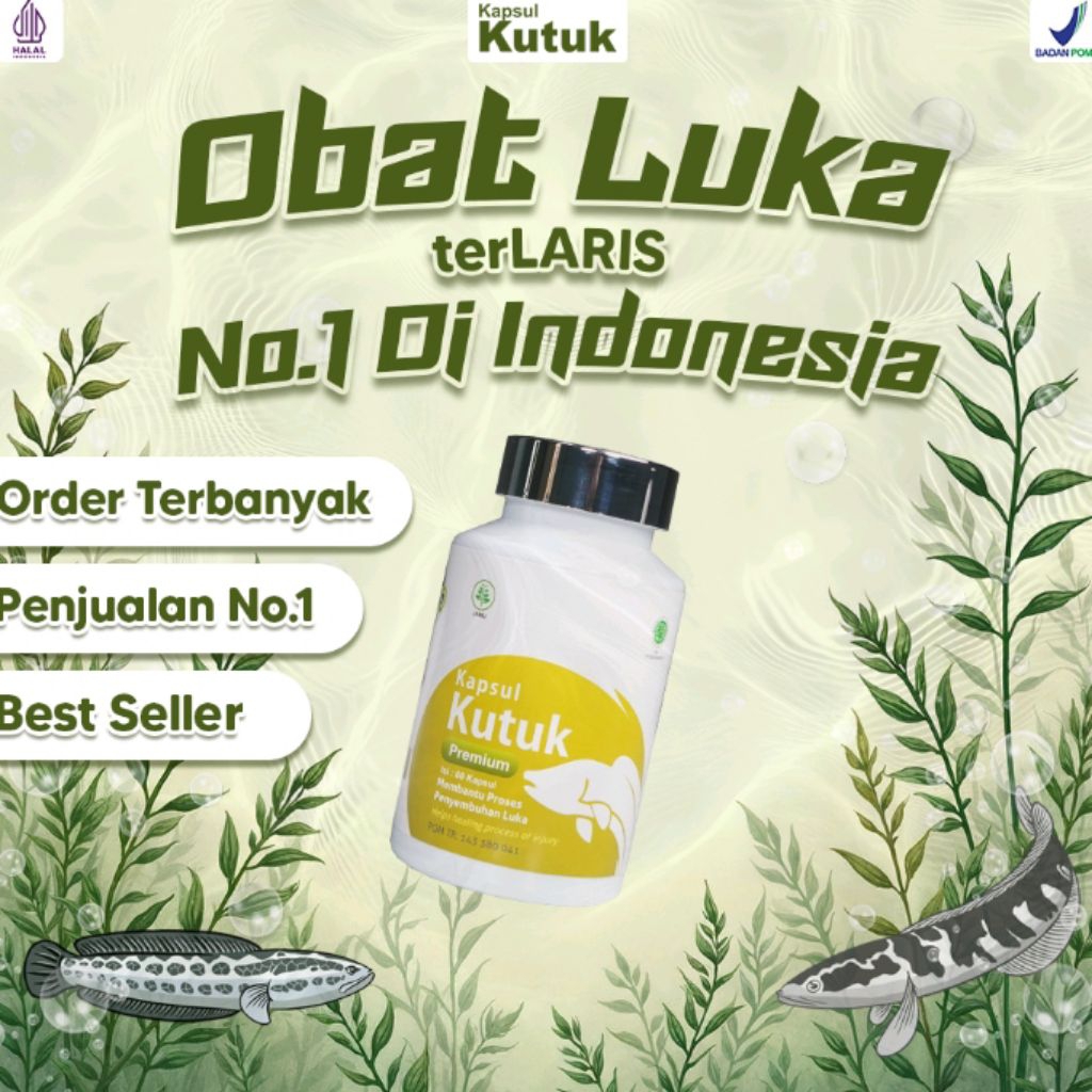 KAPSUL KUTUK PREMIUM ALBUMIN - OBAT PENGERING OPERASI KAPSUL KUTUK ASLI 100% ORIGINAL AMAN