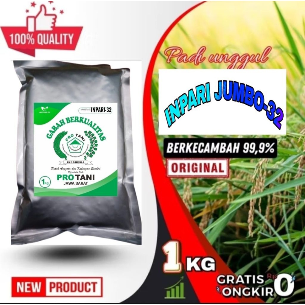 COD 1KG BENIH PADI INPARI JUMBO-32 MAXIPRO ORIGINAL LABEL PUTIH