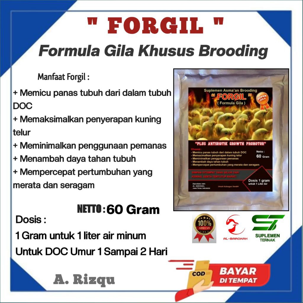FORGIL Formula Gila Brooding - Vitamin Masa Brooding Ayam Broiler | Suplemen DOC Awal Brooding | Per