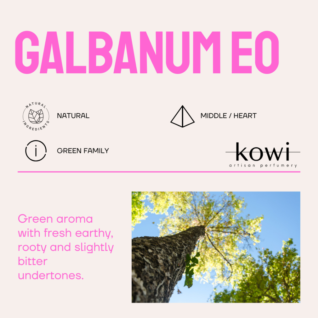 GALBANUM ESSENTIAL OILS 10% IN DPG