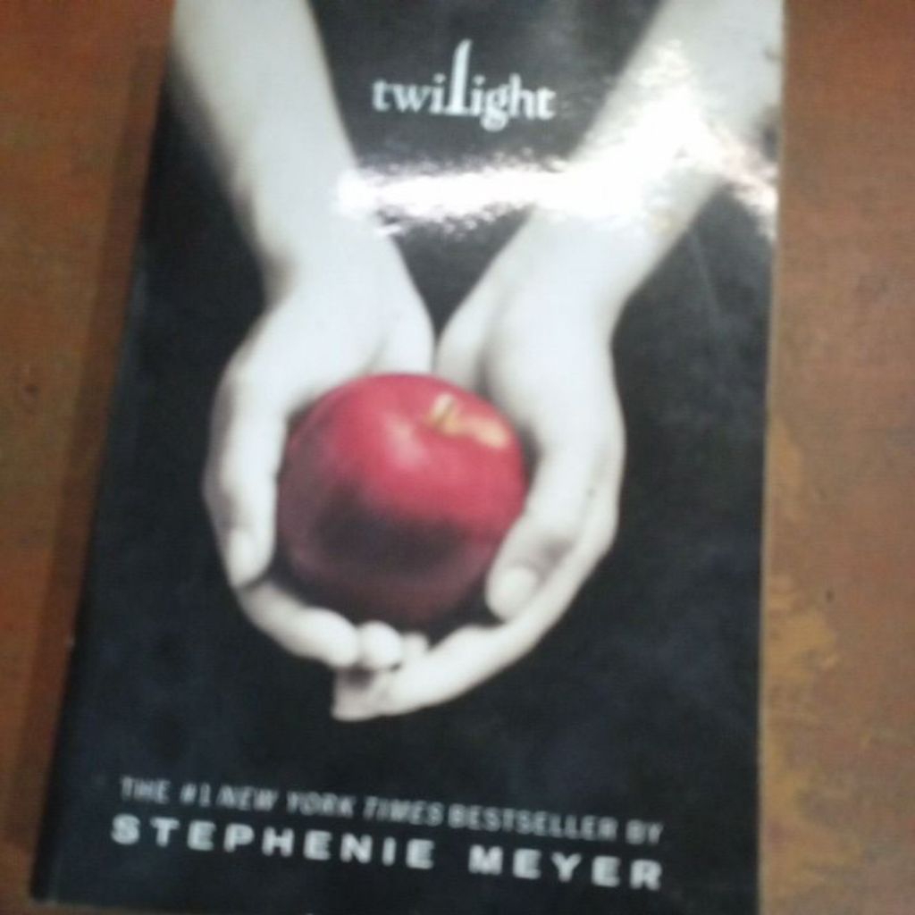 Buku Novel twilight