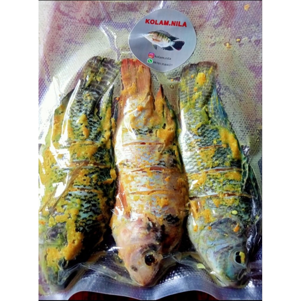 Frozen Ikan Nila Bumbu Kuning Siap Saji