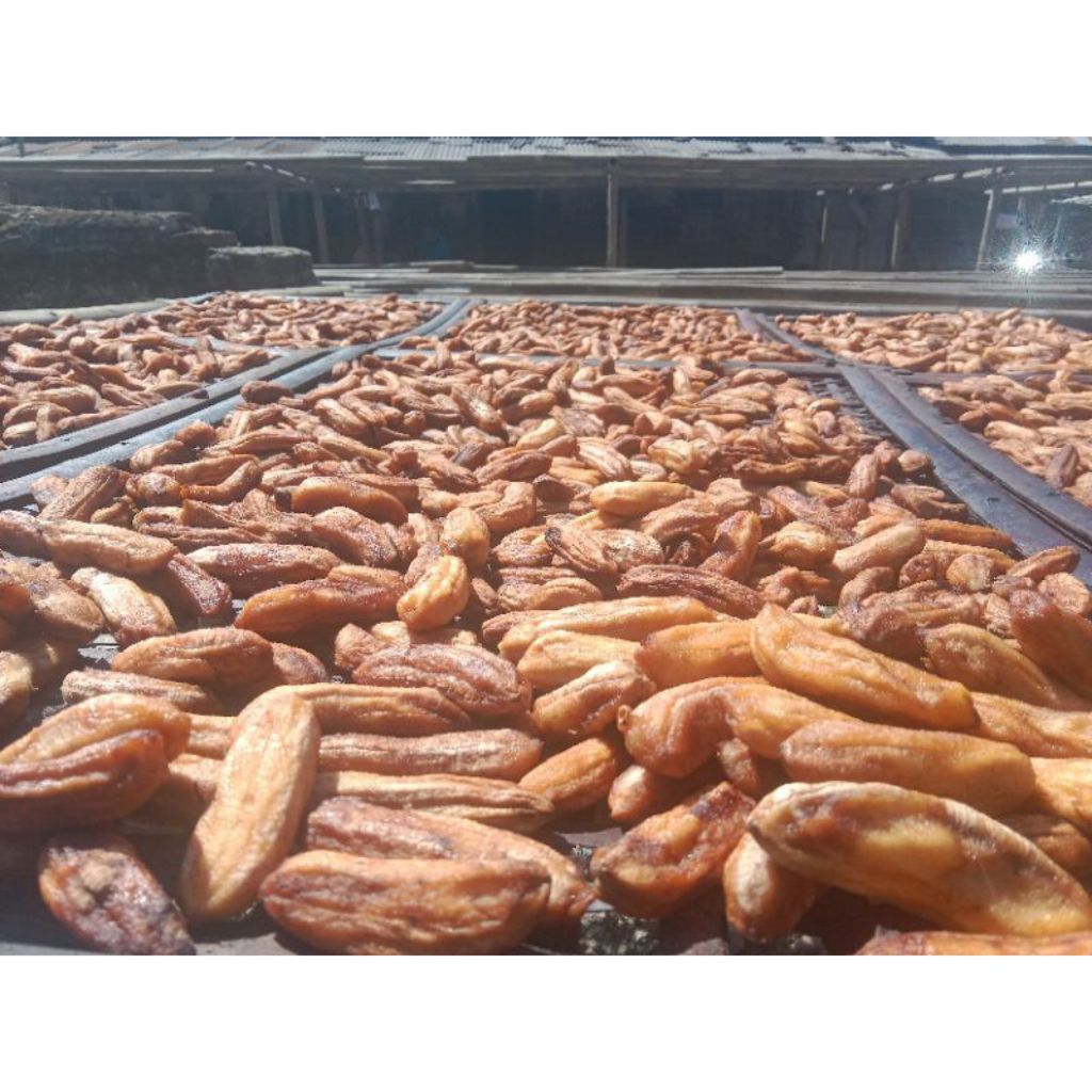 Sale Pisang Basah 1kg Kemasan Vakum.