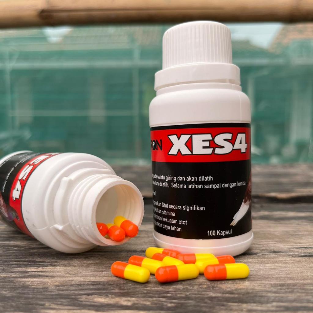XES4 Baron Isi 10butir Doping merpati penambah stut dan Stamina Super