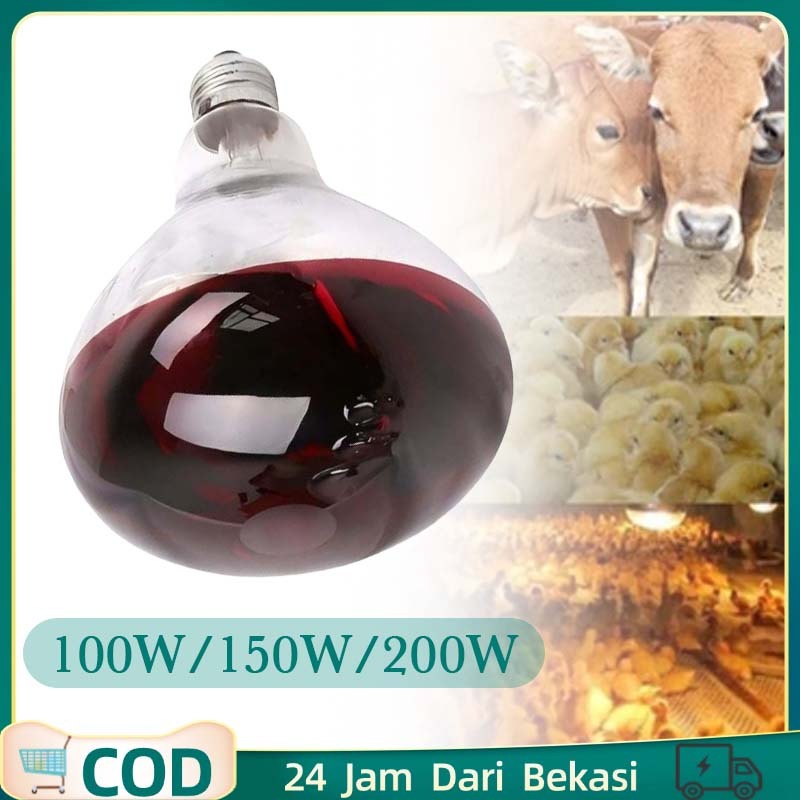 100w-200w Alat Penghangat Anak Ayam Lampu Pemanas Ayam Lampu Pemanas Infrared Pemanas Anak Ayam