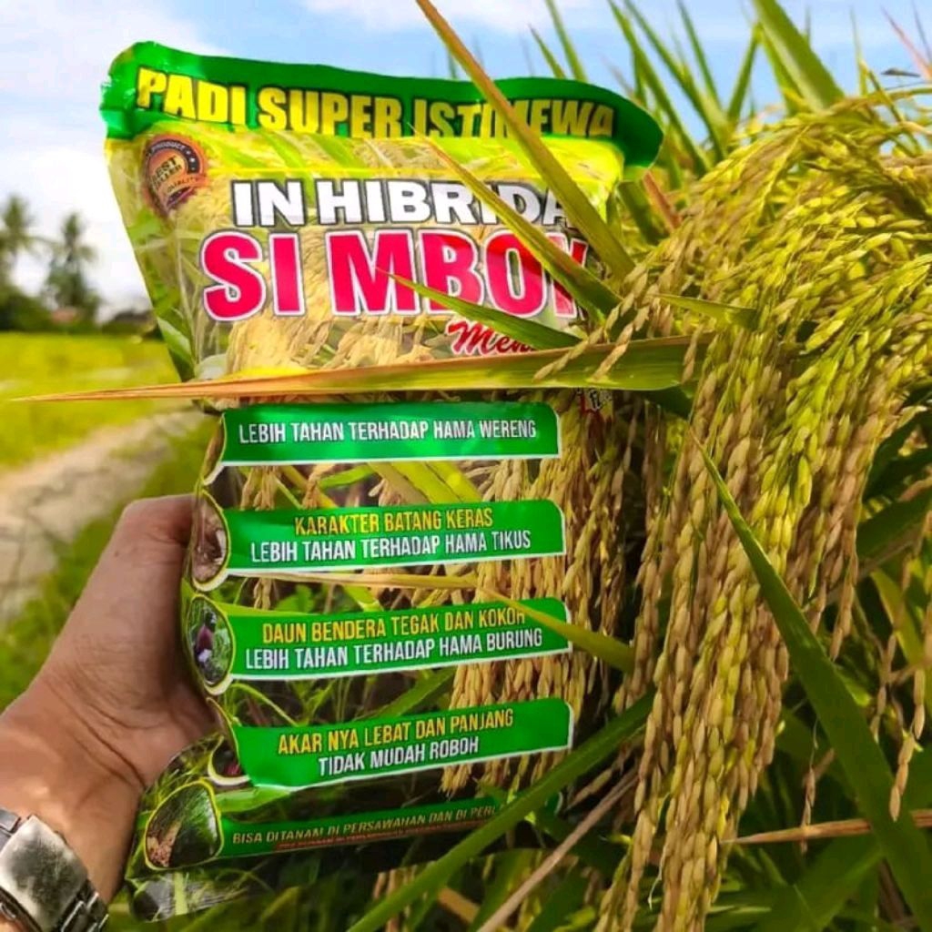 PADI SIMBOK 5kg MENTES SUPER ISTIMEWA PADI UNGGUL INDONESIA Di Formulasikan untuk red