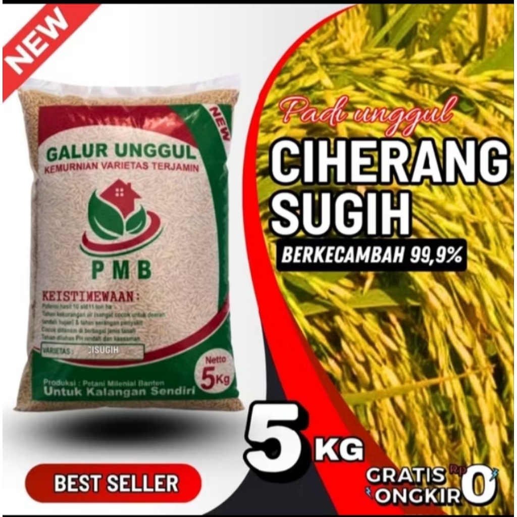Benih padi Ciherang Sugih kemasan 5kg Benih unggul original
