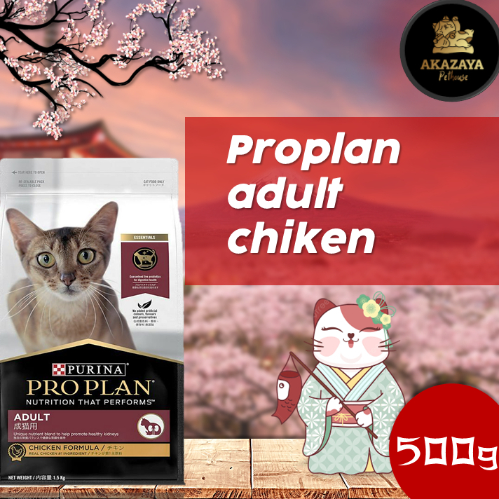 PROPLAN ADULT CHICKEN | PROPLAN ADULT CHICKEN KEMASAN 500GR REPACK | MAKANAN KUCING PROPLAN ADULT CH