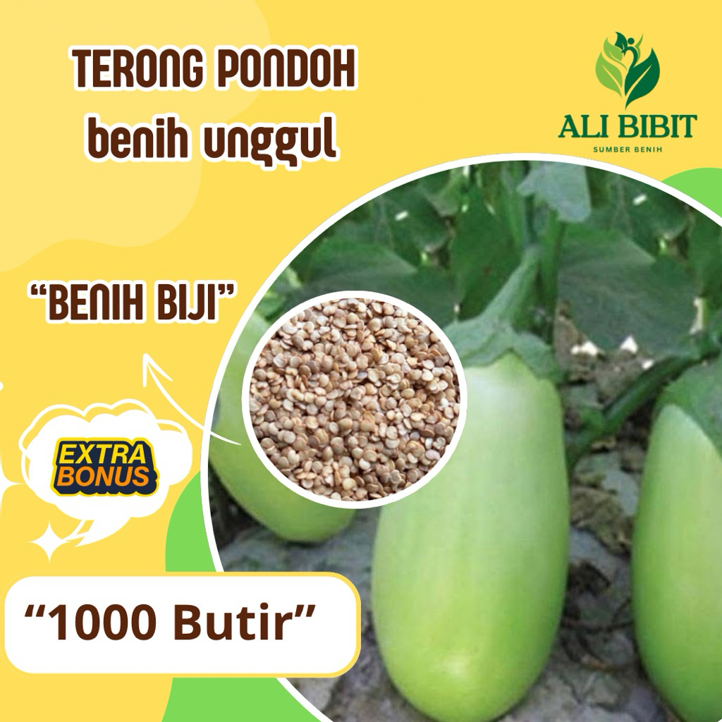 1000 Butir > Biji Benih Terong Pondoh >Bibit Terong Pondoh> Bonus Benih