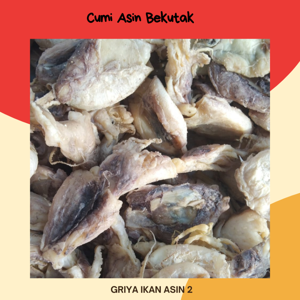 cumi asin bekutak/cumi bekutak 1 kg termurah