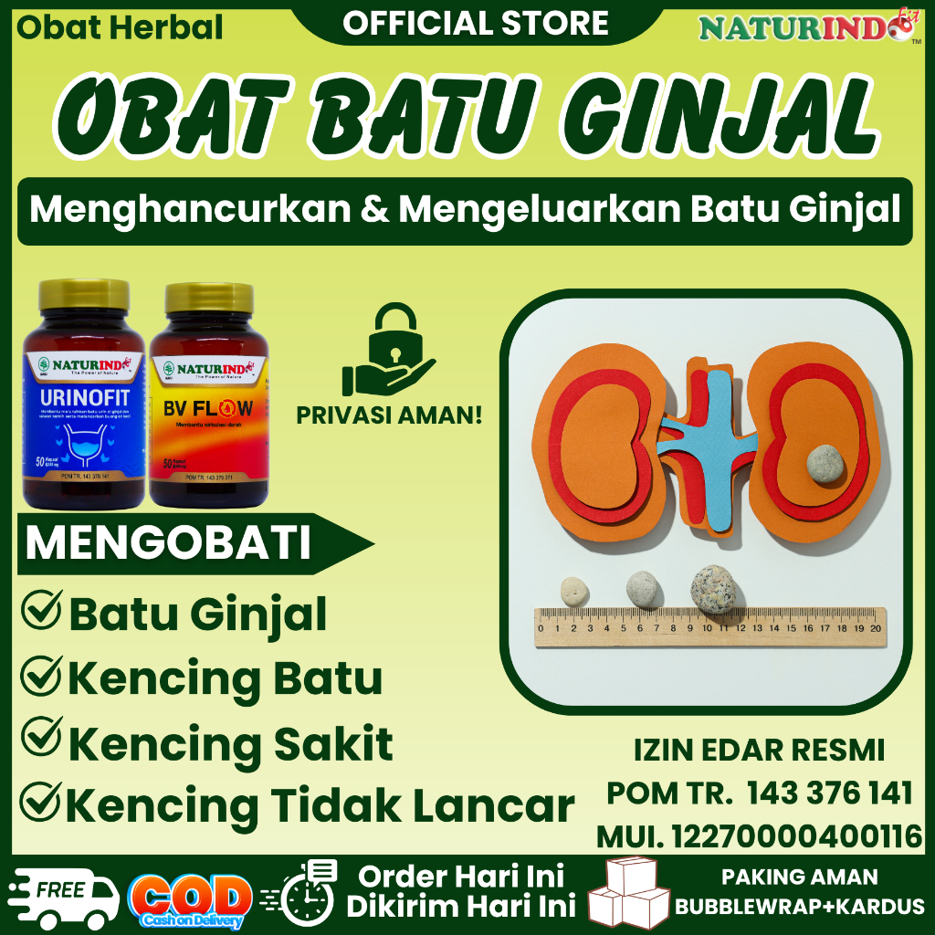 Obat Batu Ginjal Herbal Penghancur Kencing Batu Urinofit Naturindo
