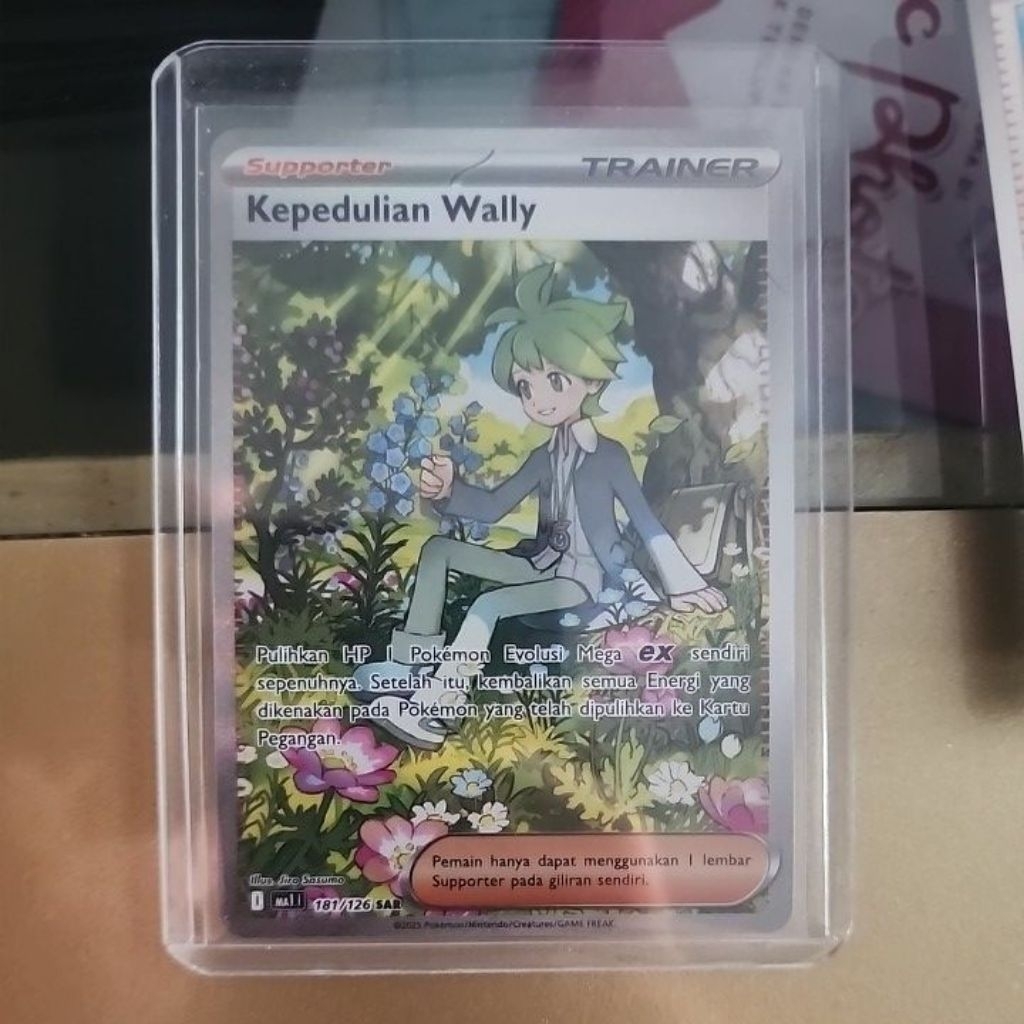 pokemon- kepedulian wally sar