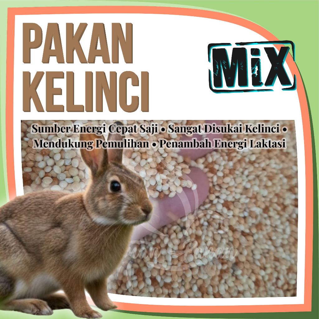 Pakan Kelinci Milet Kuning Milet Merah Milet Putih