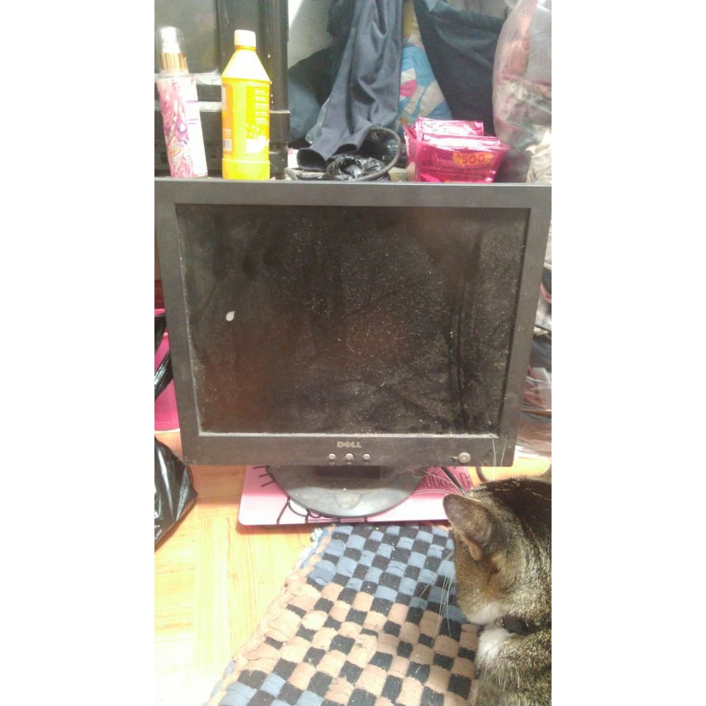 Monitor Dell 14 Inch Bekas Normal